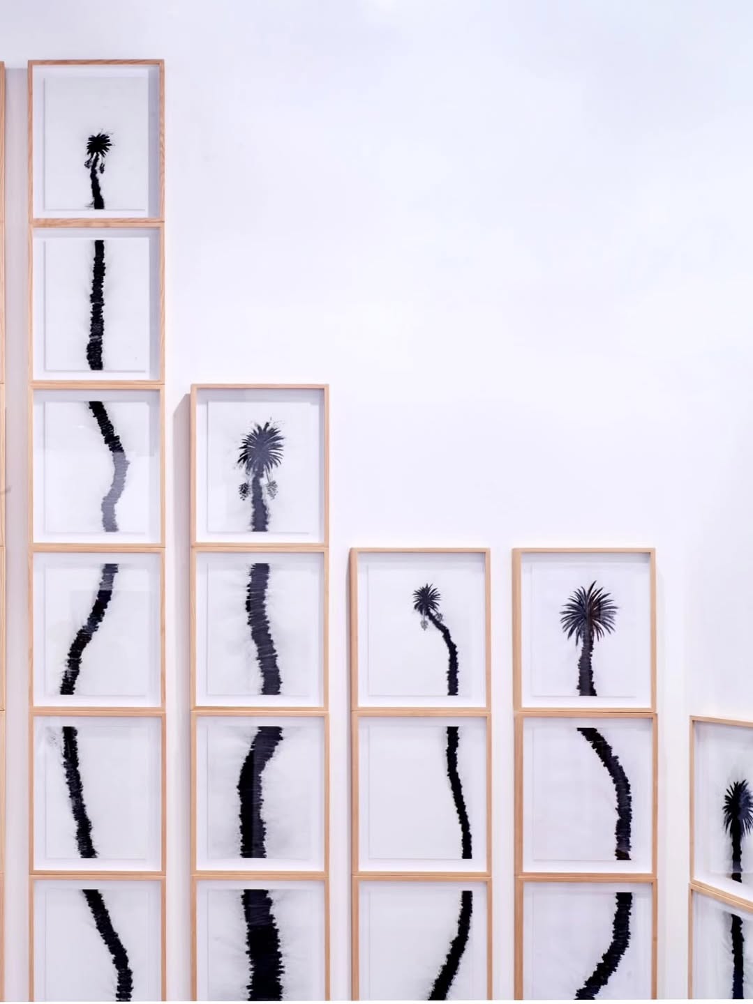 ABU DHABI ART • Mennour is pleased to return to Abu Dhabi Art from November 19 to 23, with a selection of artworks by… — image 13. Photos christianjohndyson of @artsectgallery