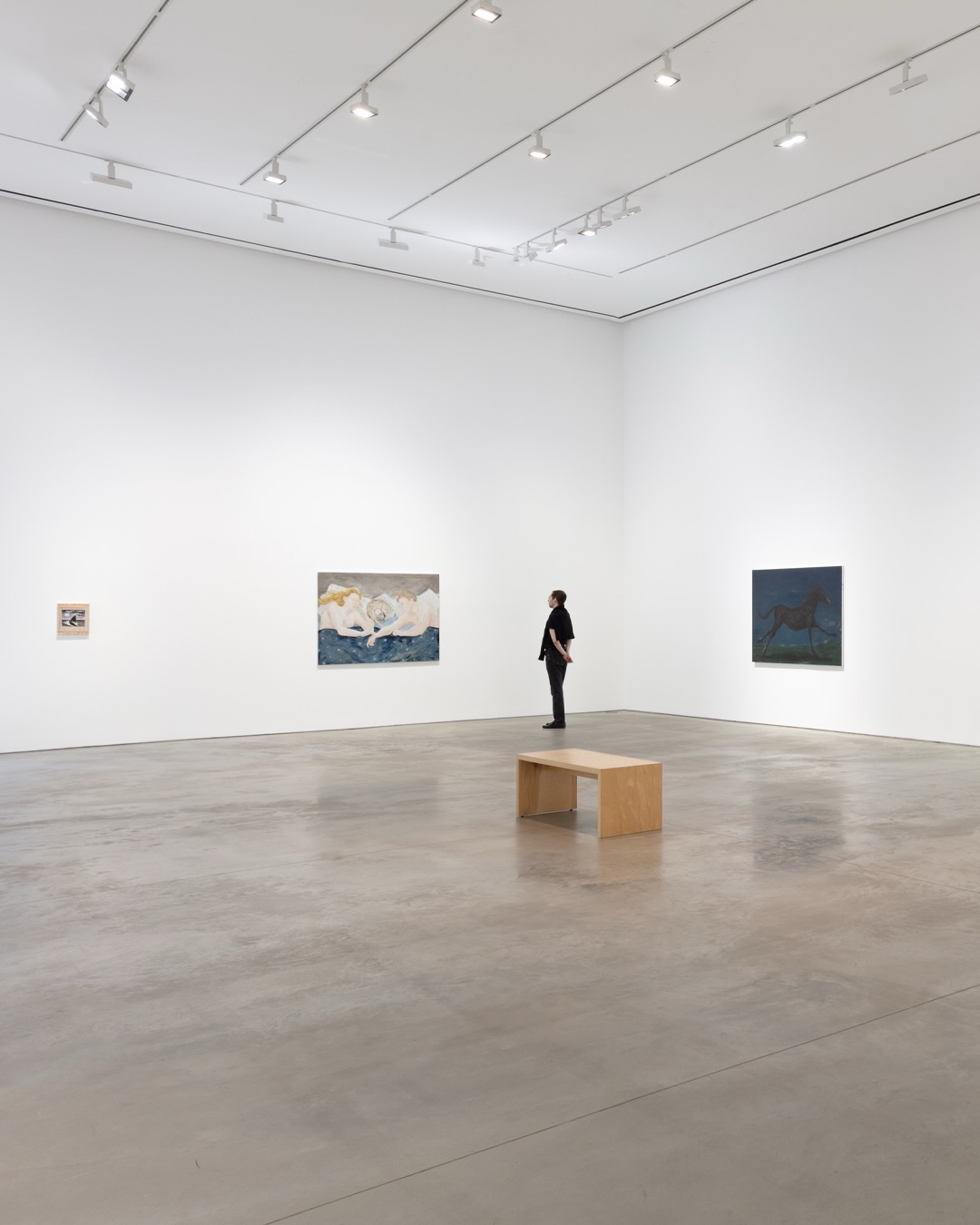 Tanya Merrill: Land animal, house animal continues at 303 Gallery through October 24. — image 6. Image and post source: @303gallery